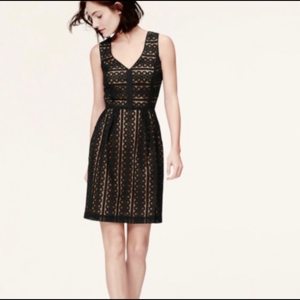 new w tags black lace/cream underlay dress
